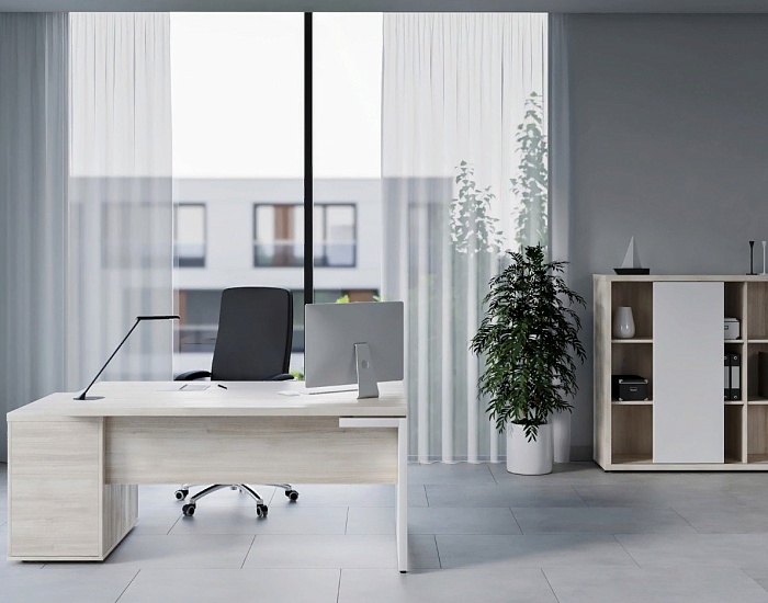 фото кабинет Зион Шамони					 №2					