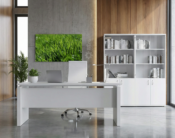 фото кабинет Стил Эво Белый					