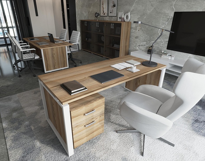 фото кабинет Аргентум-М					 №2					